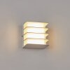Applique murale d'extérieur Guichard LED Blanc, 1 lumière