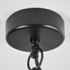 Suspension extérieur Ancemont LED Noir, 1 lumière