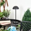 Lampe à poser Pelaro LED Noir, 1 lumière
