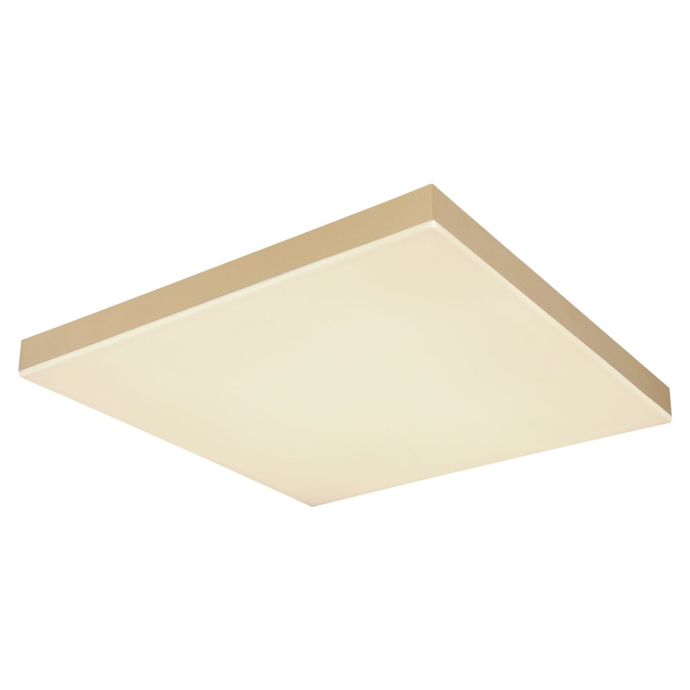 Plafonnier Globo DORO LED Blanc, 1 lumière main product photo