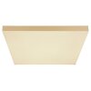 Plafonnier Globo DORO LED Blanc, 1 lumière