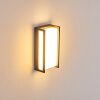 Applique murale d'extérieur Skove LED Anthracite, 1 lumière