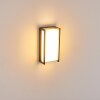 Applique murale d'extérieur Skove LED Anthracite, 1 lumière