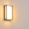 Applique murale d'extérieur Skove LED Anthracite, 1 lumière