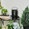 Lampe solaires Rossina LED Noir, 1 lumière
