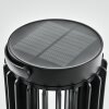 Lampe solaires Rossina LED Noir, 1 lumière