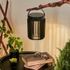 Lampe solaires Rossina LED Noir, 1 lumière