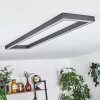 Plafonnier Dubuisson LED Anthracite, 1 lumière, Télécommandes
