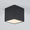 plafonnier extérieur Spidern LED Blanc, 1 lumière