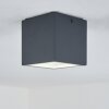 plafonnier extérieur Spidern LED Anthracite, Blanc, 1 lumière