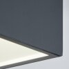 plafonnier extérieur Spidern LED Anthracite, Blanc, 1 lumière