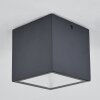 plafonnier extérieur Spidern LED Anthracite, Blanc, 1 lumière
