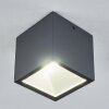 plafonnier extérieur Spidern LED Anthracite, Blanc, 1 lumière