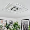 Plafonnier Popoy LED Blanc, 1 lumière, Télécommandes