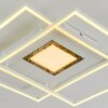 Plafonnier Popoy LED Blanc, 1 lumière, Télécommandes