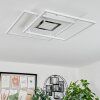 Plafonnier Popoy LED Blanc, 1 lumière, Télécommandes