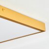Plafonnier Broglen LED Or, 1 lumière