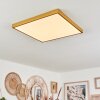 Plafonnier Broglen LED Or, 1 lumière