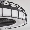 Ventilateur de plafond Burmeister LED Noir, 1 lumière, Télécommandes