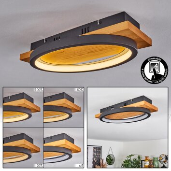 Plafonnier Pompu, 1 lumière