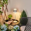 Lampe à poser Walt LED Gris, 1 lumière