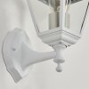 Applique murale d'extérieur Murto Blanc, 1 lumière