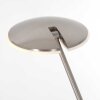 Lampadaire à vasque Steinhauer Daphne LED Acier brossé, 2 lumières