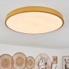 Plafonnier Broglen LED Laiton, 1 lumière