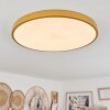 Plafonnier Broglen LED Laiton, 1 lumière