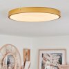 Plafonnier Broglen LED Laiton, 1 lumière