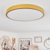 Plafonnier Broglen LED Laiton, 1 lumière