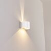 Applique murale d'extérieur Tamarin LED Blanc, 2 lumières