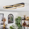 Plafonnier Cajean LED Noir, 2 lumières