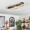 Plafonnier Cajean LED Noir, 2 lumières