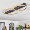 Plafonnier Cajean LED Noir, 2 lumières