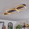 Plafonnier Cajean LED Noir, 3 lumières