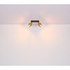Applique murale Globo MILLEY Laiton, Noir, 2 lumières