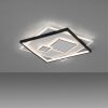 Plafonnier Paul Neuhaus MAILAK LED Noir, Blanc, 2 lumières