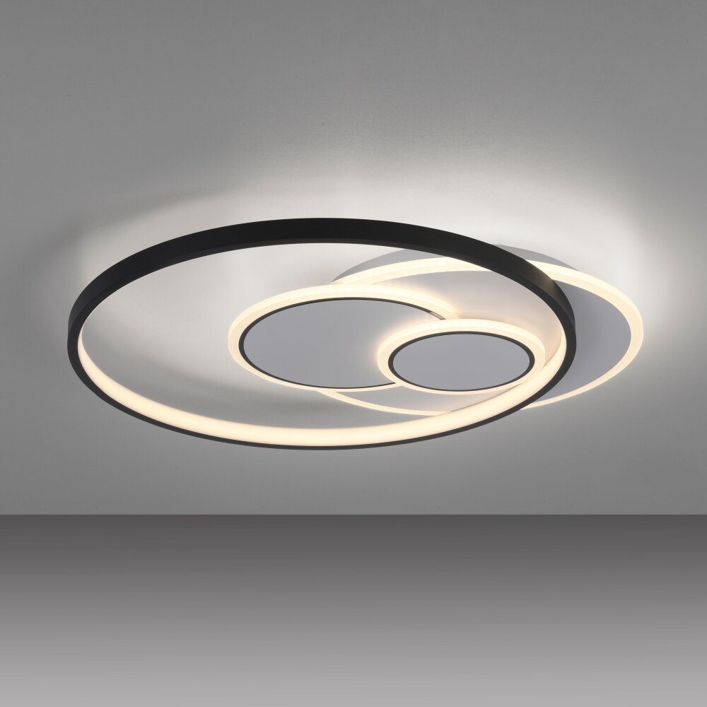Plafonnier Paul Neuhaus MAILAK LED Noir, Blanc, 2 lumières main product photo