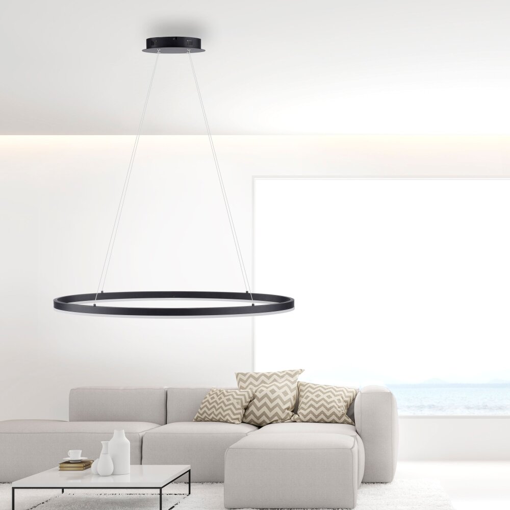 Suspension Paul Neuhaus TITUS LED Anthracite, 1 lumière main product photo
