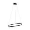 Suspension Paul Neuhaus TITUS LED Anthracite, 1 lumière