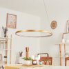 Suspension Calcium LED Laiton, 1 lumière
