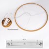 Suspension Calcium LED Laiton, 1 lumière