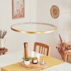 Suspension Calcium LED Laiton, 1 lumière