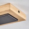 Plafonnier Represita Écru, Noir, 4 lumières