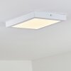 plafonnier extérieur Leto LED Blanc, 1 lumière