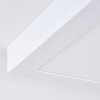 plafonnier extérieur Leto LED Blanc, 1 lumière