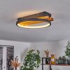 Plafonnier Rodekro LED Écru, Noir, 1 lumière