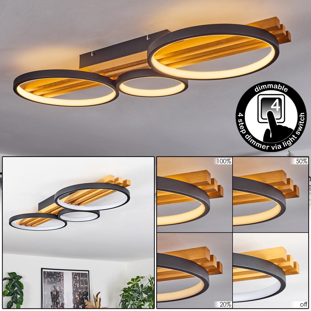 Plafonnier Rodekro LED Écru, Noir, 1 lumière main product photo