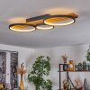 Plafonnier Rodekro LED Écru, Noir, 1 lumière